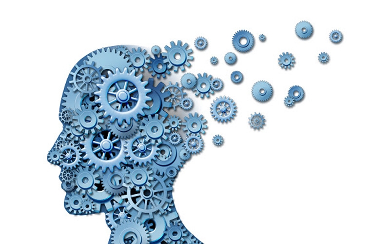 Photography What Is the Danger of Cognitive Impairment?