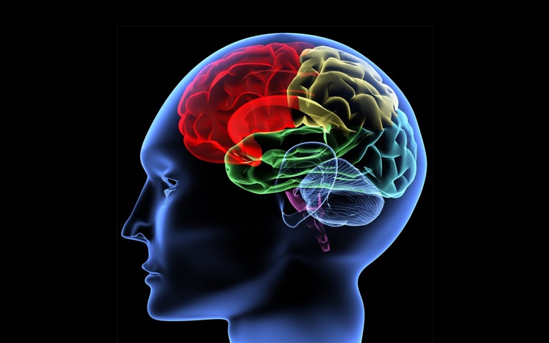 Photography Brain Energy Crisis