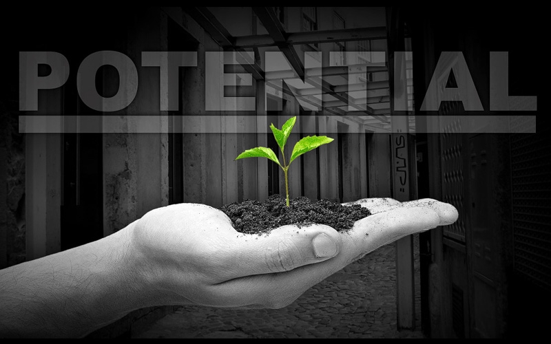 Фотография Как не угробить потенциал смолоду?