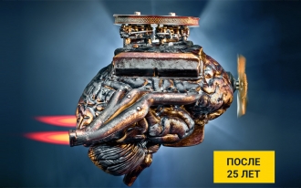 Фото - Возможно ли разогнать мозг после 25?